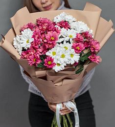 Букет из 9 малиновых и белых кустовых хризантем