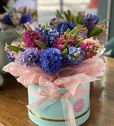 17 гиацинтов в стильную коробку