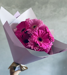 Букет из 21 фиолетовой герберы