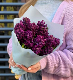 Букет из 15 сиреневых гиацинтов