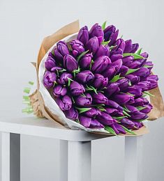 Букет из 49 сиреневых голландских тюльпанов