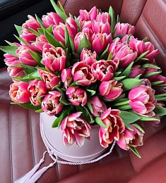 51 розовый тюльпан в коробке