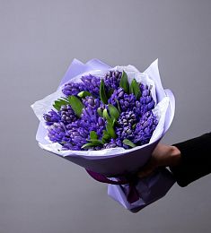 Букет из 25 синих гиацинтов