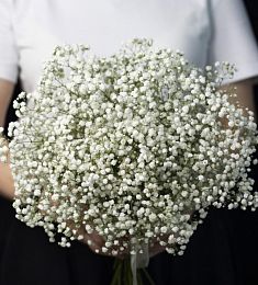 Букет невесты из 5 гипсофил