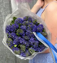 Букет из 25 синих гиацинтов в оформлении