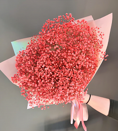 Букет из 15 красных гипсофил