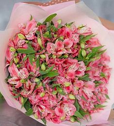 Букет из 29 розовых альстромерий