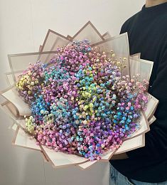 Букет из 11 радужных гипсофил 