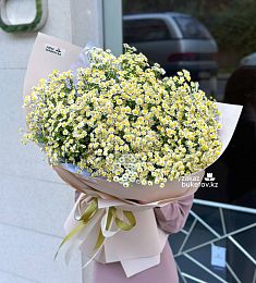 Букет "Ромашковое поле" с кустовой ромашкой