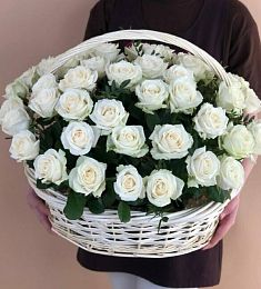 51 белая голландская роза в корзине