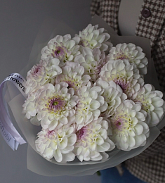 Букет из 15 светлых георгинов