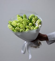 Букет из 25 светлых гиацинтов