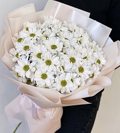 Букет из 9 белых ромашковидных хризантем