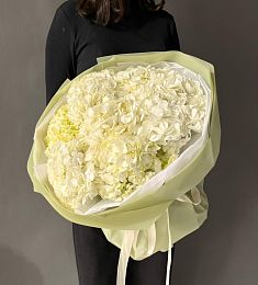 7 белых гортензий