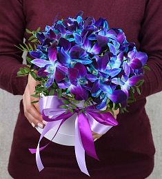 19 орхидей дендробиум с фисташкой в коробке