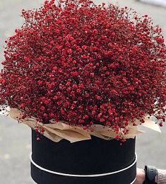 25 красных гипсофил в коробке