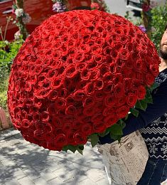 501 красная роза в оформлении