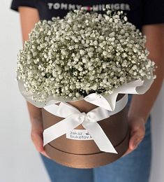 Композиция "Веточка" S из гипсофилы