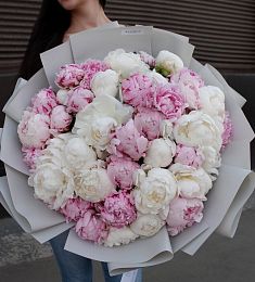 Букет из 45 нежных белых и розовых пионов