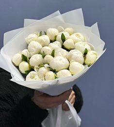 Букет из 25 белых пионов