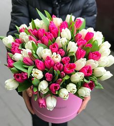 101 белый и розовый тюльпан в коробке