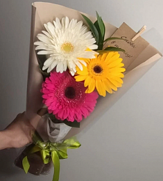 Букет из 3 гербер с рускусом