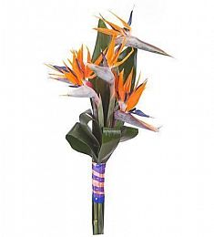Букет "Огненный феникс"