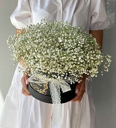 Букет "Pleasure" (S) из гипсофилы в коробке