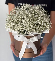 Композиция "Веточка" M ИЗ ГИПСОФИЛЫ