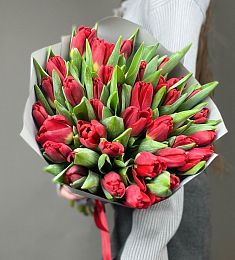 Букет из 35 голландских тюльпанов в оформлении