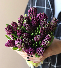 Букет из 25 фиолетовых гиацинтов в оформлении
