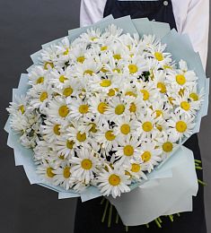 Букет из 101 ромашки 