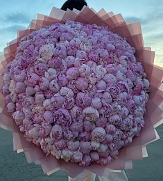 Букет из 251 пиона 