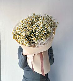 Букет "Доброе пожелание" из кустовой ромашки