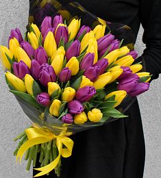 Букет из 55 голландских тюльпанов