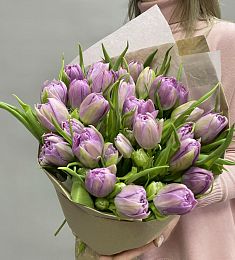 Букет из 25 пионовидных тюльпан