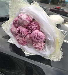 Букет из 9 голландских пионов