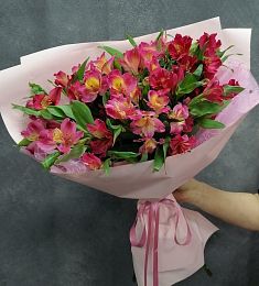 Букет из 11 красных альстромерий 