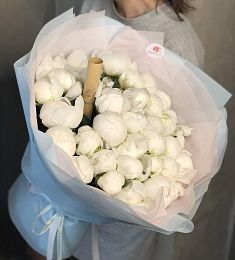 35 голландских белых пионов