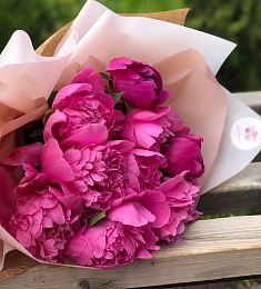 Местный пион - соберите букет