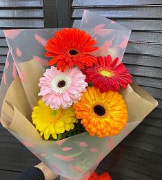 Букет из 5 ярких гербер микс