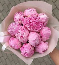 11 ярких голландских пионов