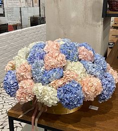 45 королевских гортензий в коробку гигант