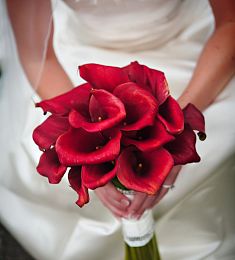 Букет невесты из 17 красных калл